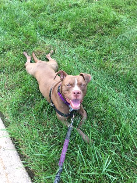 /Images/uploads/Humane Rescue Alliance/HRACalendarPhotoContest/entries/8822thumb.jpg